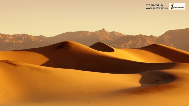 Journey to the Sands: Unforgettable Morocco Desert Tours