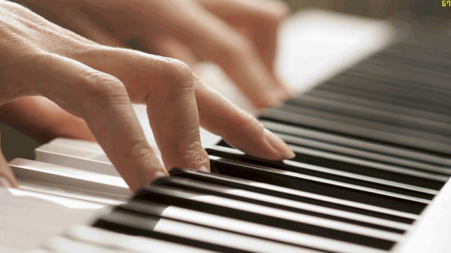 Key to Success: Unveiling the Melodic Journey of Piano Learning