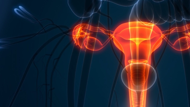 Unmasking the Secrets of Urology: Exploring the Intricacies of the Urinary System