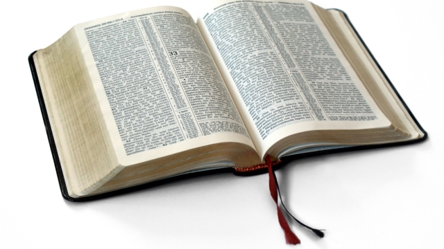 Divine Revelations:  Exploring the Depths of Bible Study