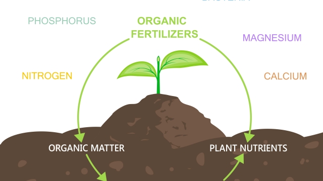 The Dynamic Duo: Unlocking the Power of Organic Soil and Fertilizer