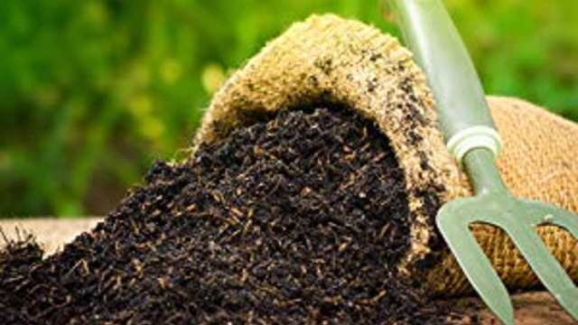 The Secret to Thriving Plants: Unveiling The Magic of Organic Soil