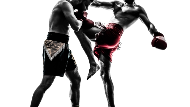 Unleashing the Martial Arts Madness: Boxing, Muay Thai, Kickboxing, and Jiu Jitsu