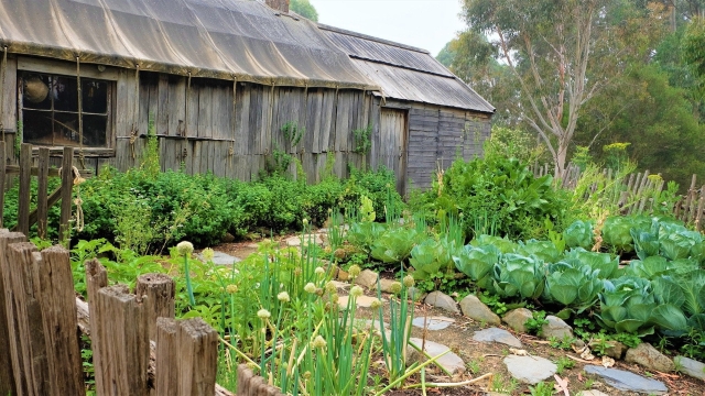 From Soil to Harvest: Embracing the Beauty of Organic Gardening