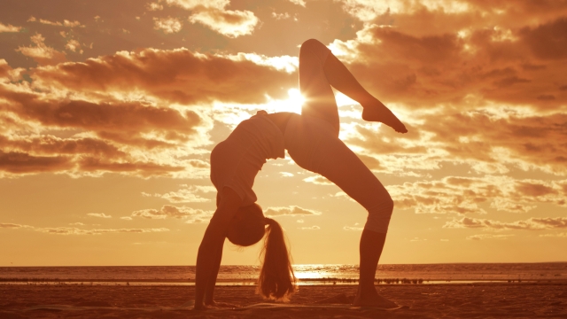 Exploring the World of Yoga Accessories: What Works for You?
