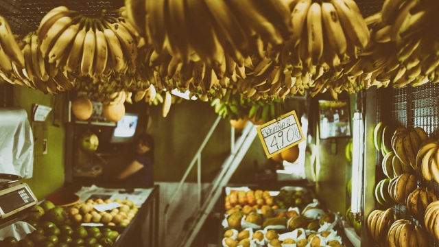 Understanding Predictive Analytics Analysis