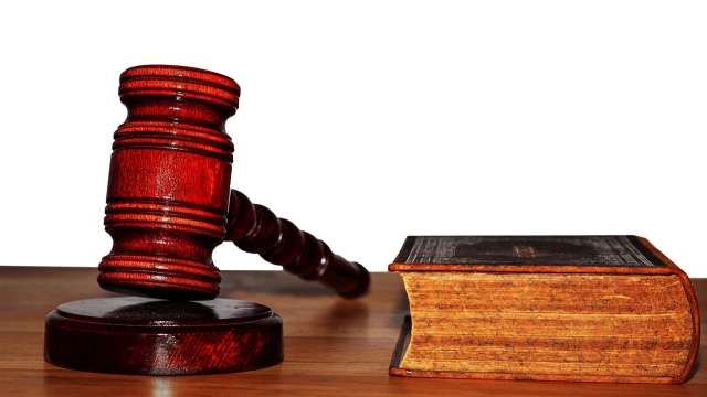 Understanding Dog Bite Laws Your Rights and Responsibilities