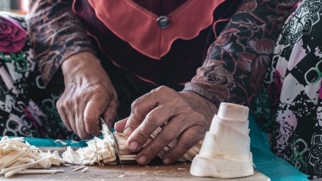 Overview of San Antonio Fiesta Events