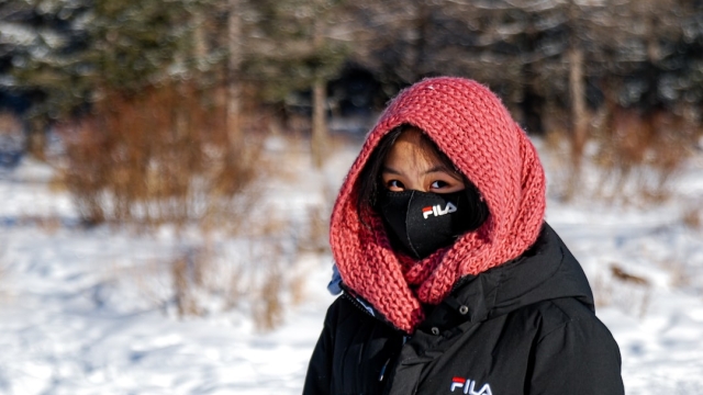 The Importance of Winter Pool Care in DC