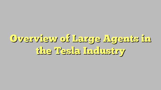 Overview of Large Agents in the Tesla Industry